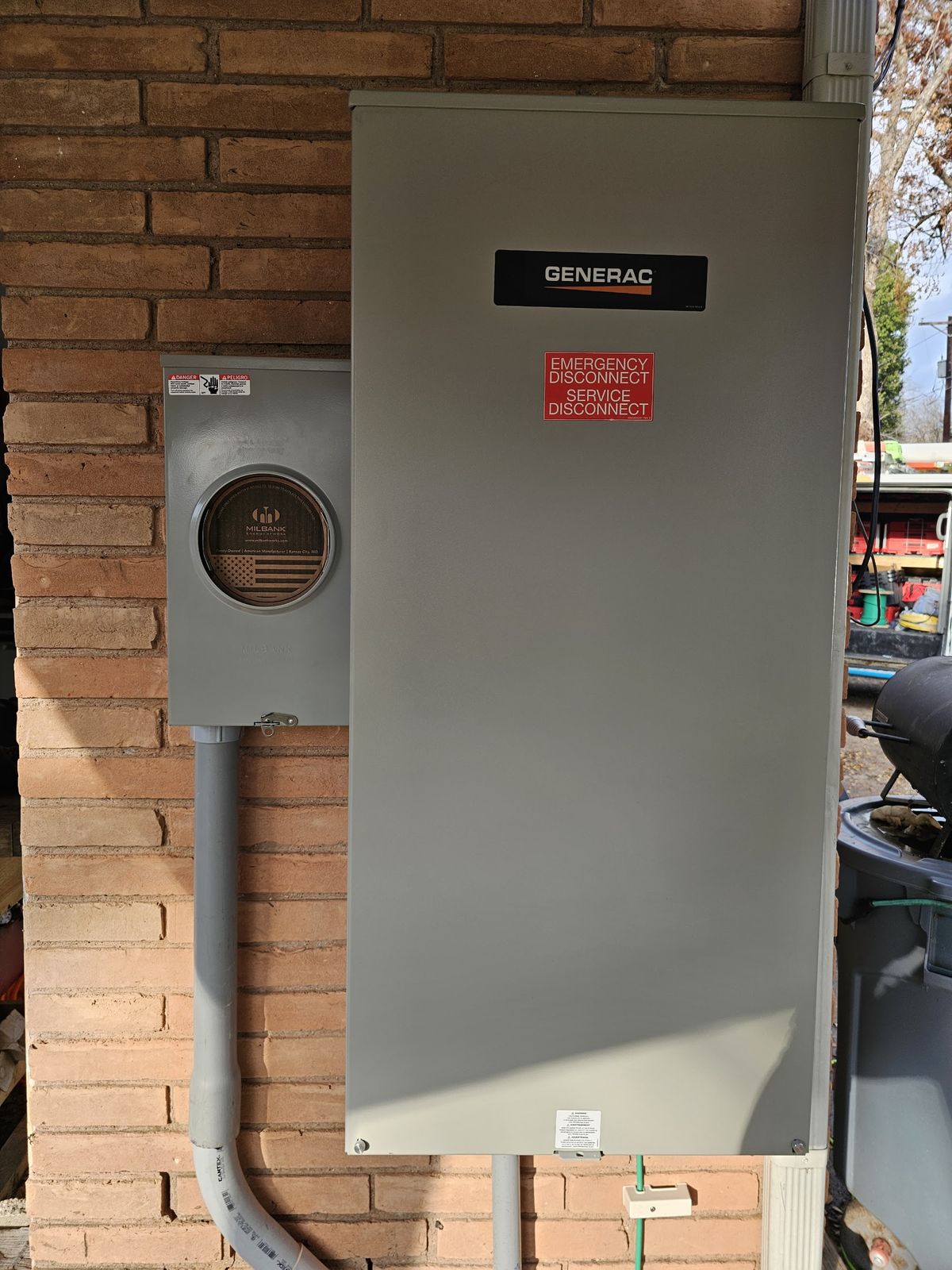 Generator transfer switch and service disconnect mounted on a building exterior